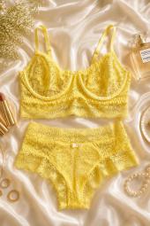 1393 CONJUNTO RENDADO SEM BOJO